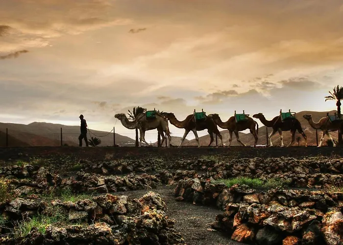 Home2book Charming Tinajo, Wifi Apartamento