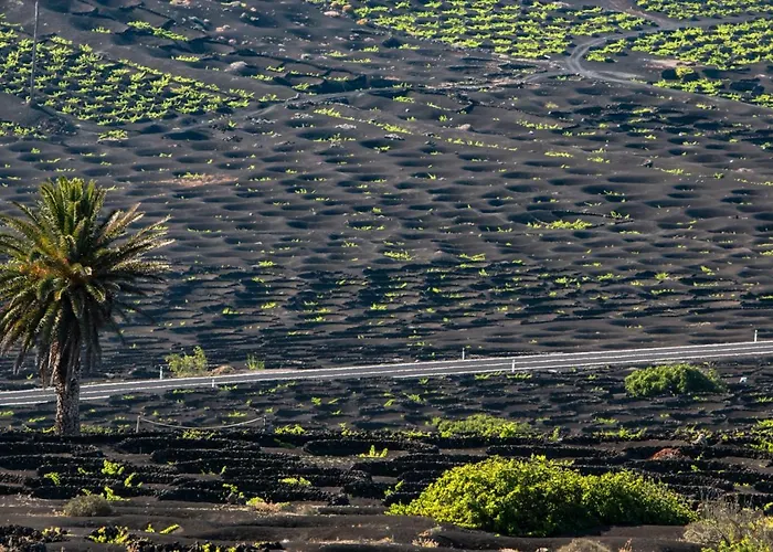 Apartamento Home2book Charming Tinajo, Wifi